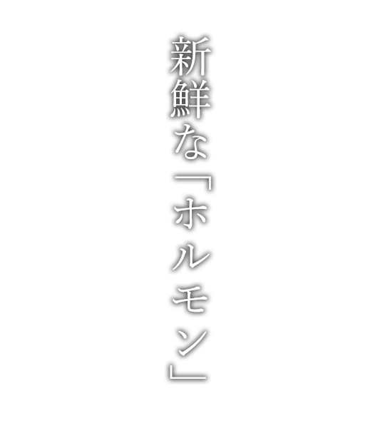 新鮮な「ホルモン」